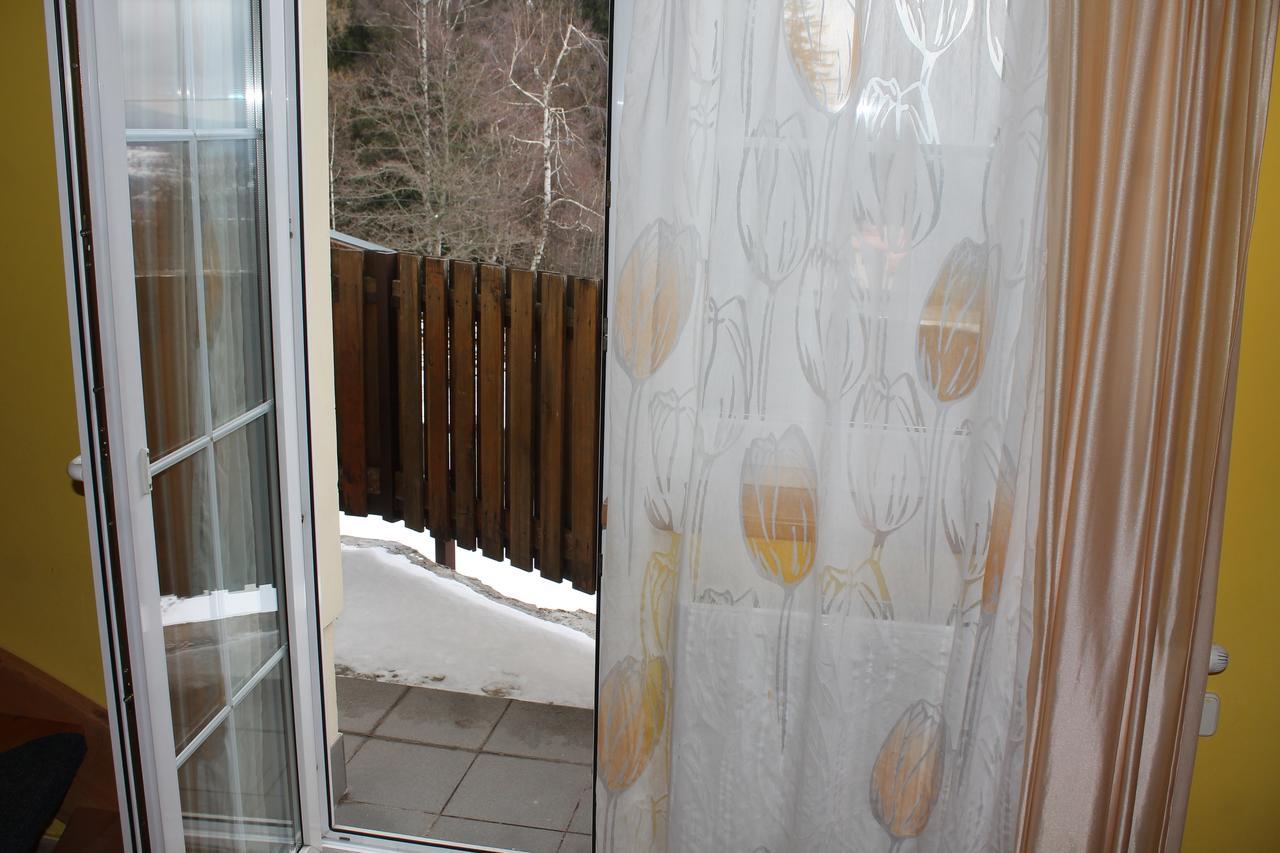 Penzion Na Podlesi Javorník Exterior foto